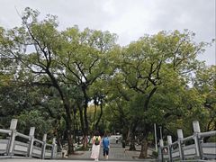 -荔湾湖公园