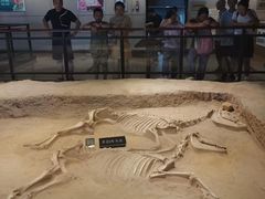 -洛阳周王城天子驾六博物馆