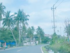-东郊椰林