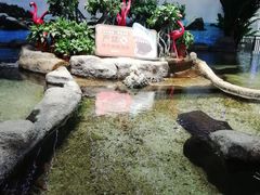 -鸿通城购物中心