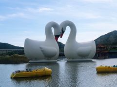-西霞口神雕山野生动物世界