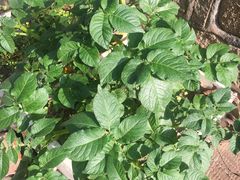 -食锦记·福建私房菜(浦西万达店)