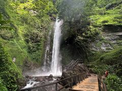 -莫里热带雨林景区