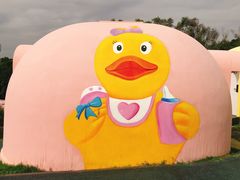 -漳州滨海火山岛自然生态风景区