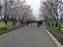 -长田漾湿地公园