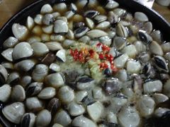 -顺德哥卜卜贝(旗舰店)