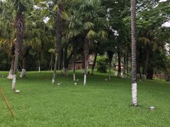 -云南民族村