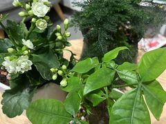 -布丁严选酒店(杭州武林西湖文化广场地铁站店)