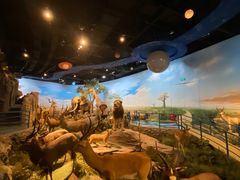 -陕西自然博物馆