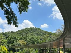 -云溪植物园