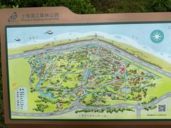 -上海滨江森林公园