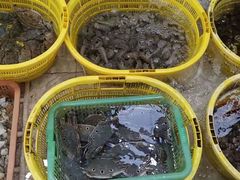 -红海湾豪记海鲜大排档