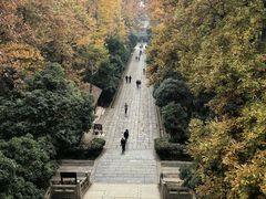 -灵谷景区
