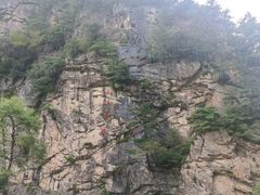 -青峰峡国家森林公园