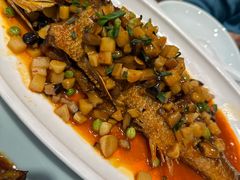 -新侨小馆(东直门北小街店)