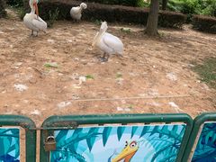 -无锡动物园·太湖欢乐园