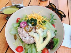 -Cactus墨西哥仙人掌餐厅