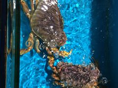 -学府海鲜批发市场