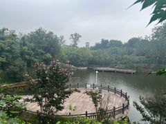 -李家庄村