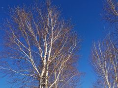 -长春公园(普阳街道)