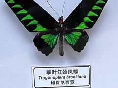 -上海长江河口科技馆