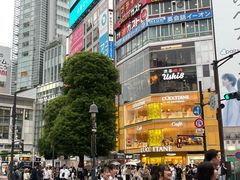 -涩谷全向十字路口