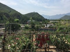 -双新垂钓园