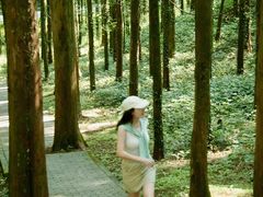 -山王坪喀斯特国家生态公园