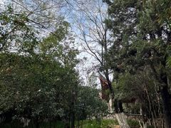 -菊花台公园