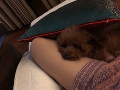 -和子足浴SPA会馆(梁溪店)