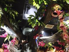 -草原塞蛮羊火锅城(港湾店)