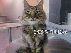 -极木²邸 人与宠物·互动社区