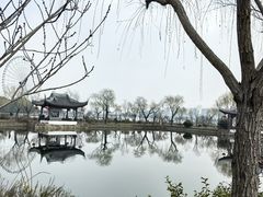 -无锡蠡湖国家湿地公园-蠡园
