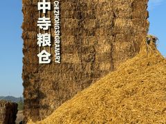 -良渚古城遗址公园