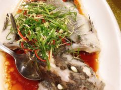 -沙田鸽王(解放路店)