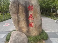 -高东镇樱花园
