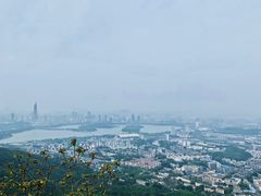 -紫金山山顶公园