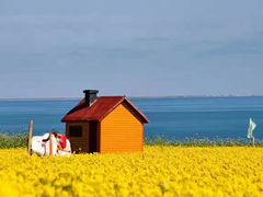 -青海湖国家重点风景名胜区