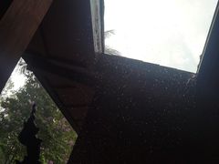 -西双版纳洲际度假酒店兰吧