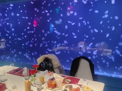 -太平洋海底世界