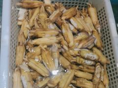 -宝燕壹号(徐汇店)