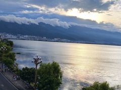 -野菌皇海景野生菌火锅(滨海大道店)