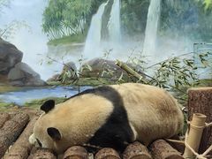 -杭州动物园