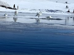 -赛里木湖风景名胜区