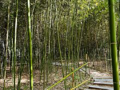 -西安大兴善寺