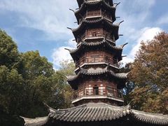 -上海佘山国家森林公园西佘山园