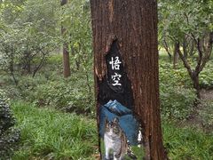 -迎泽公园