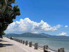 -深圳湾公园(南山区)