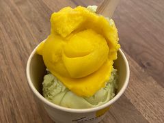 芒果百香果雪葩-LUNEURS月乐诗·法式冰淇淋(环贸店)