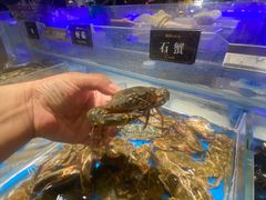 -加餐海鲜自助(宝龙一城店)